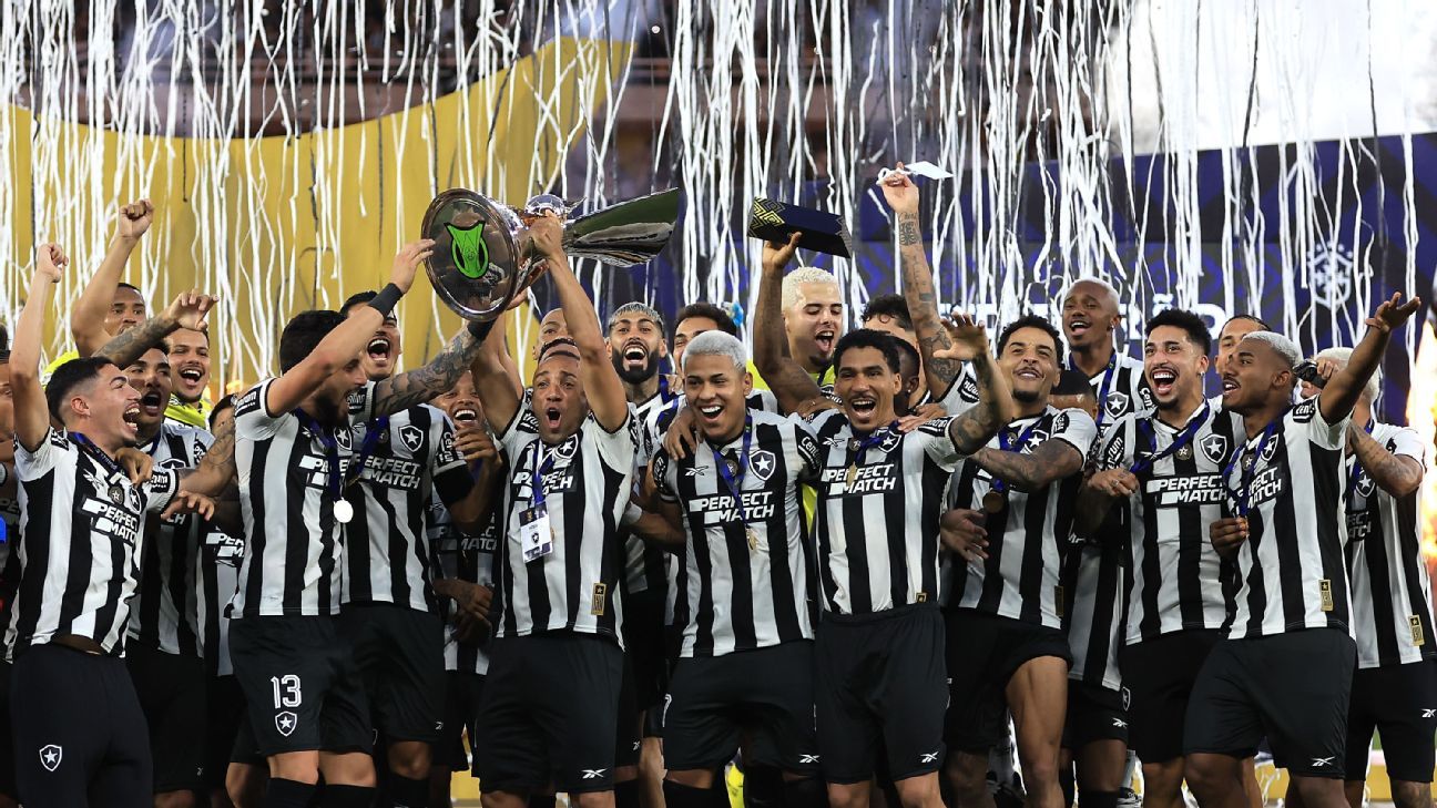botafogo-brazilian-league-victory