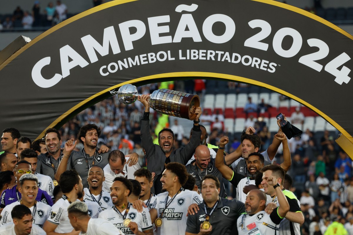 botafogo-copa-libertadores-victory