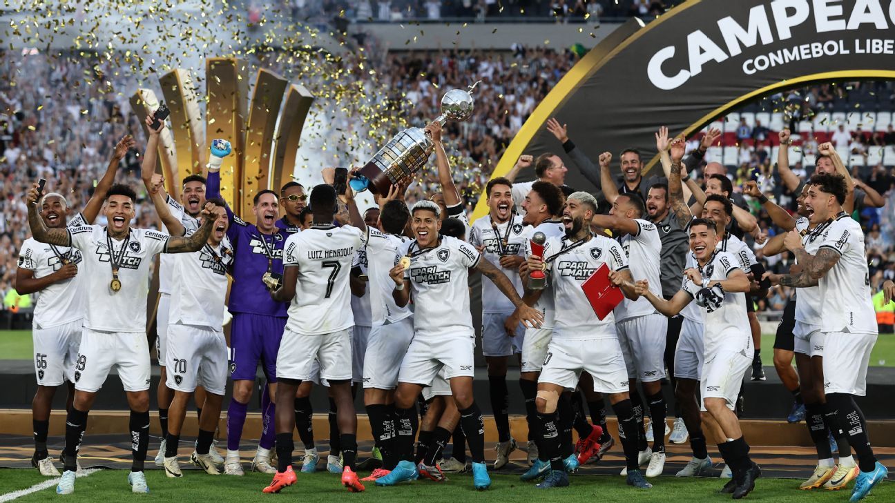 botafogo-copa-libertadores-victory