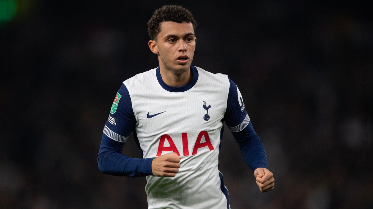 livestream-premier-league-tottenham-fulham