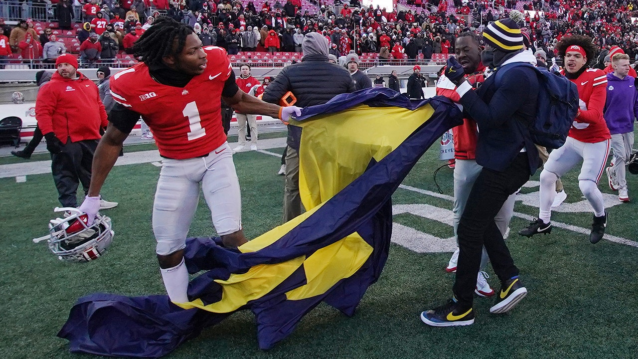 michigan-ohio-state-brawl
