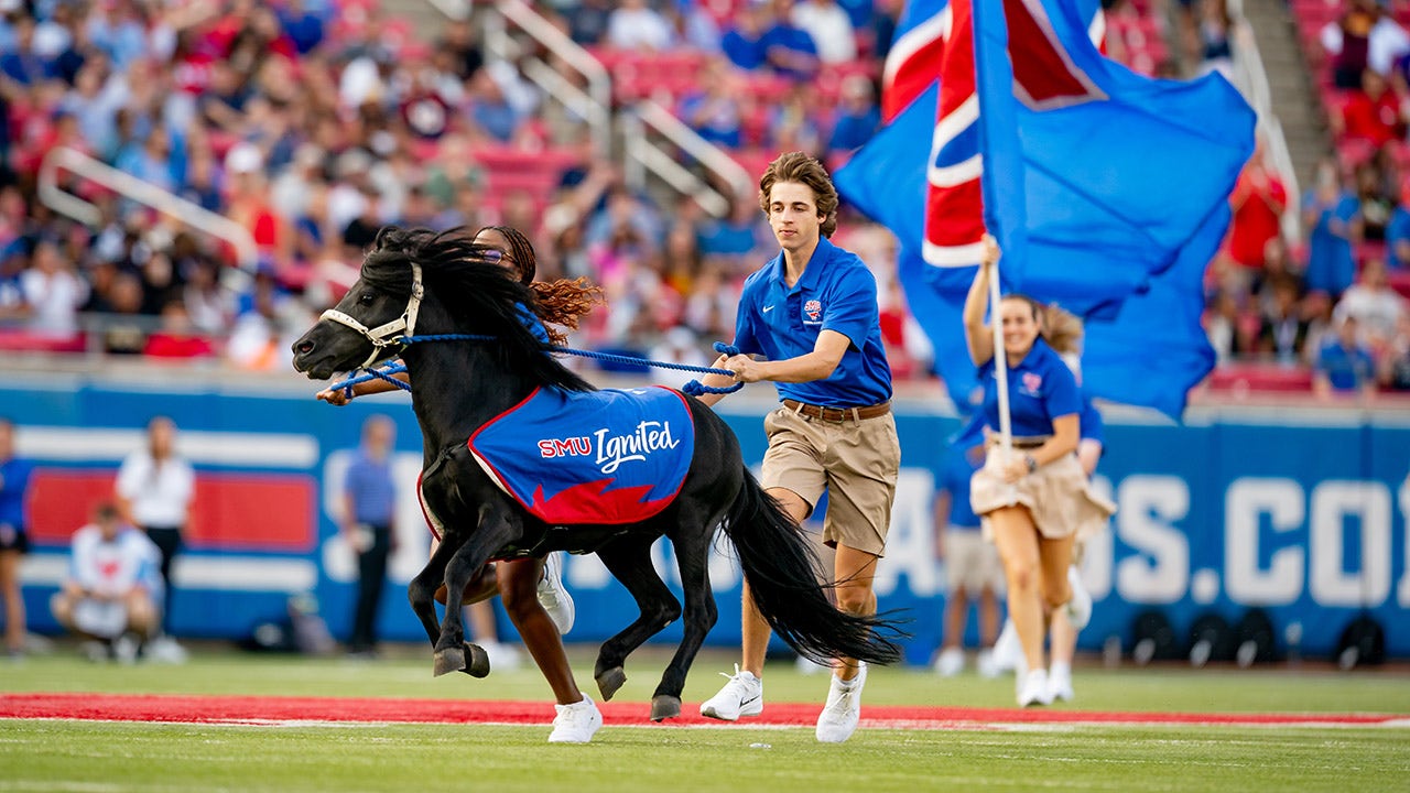 peta-smu-live-mascot
