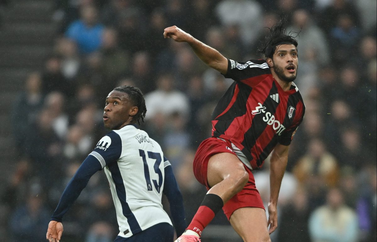 raul-jimenez-fulham-tottenham-match