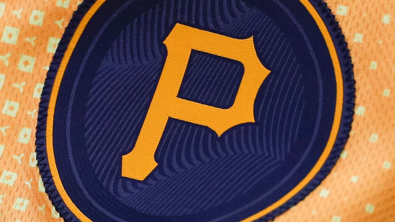 fan-recovery-pirates-ballpark