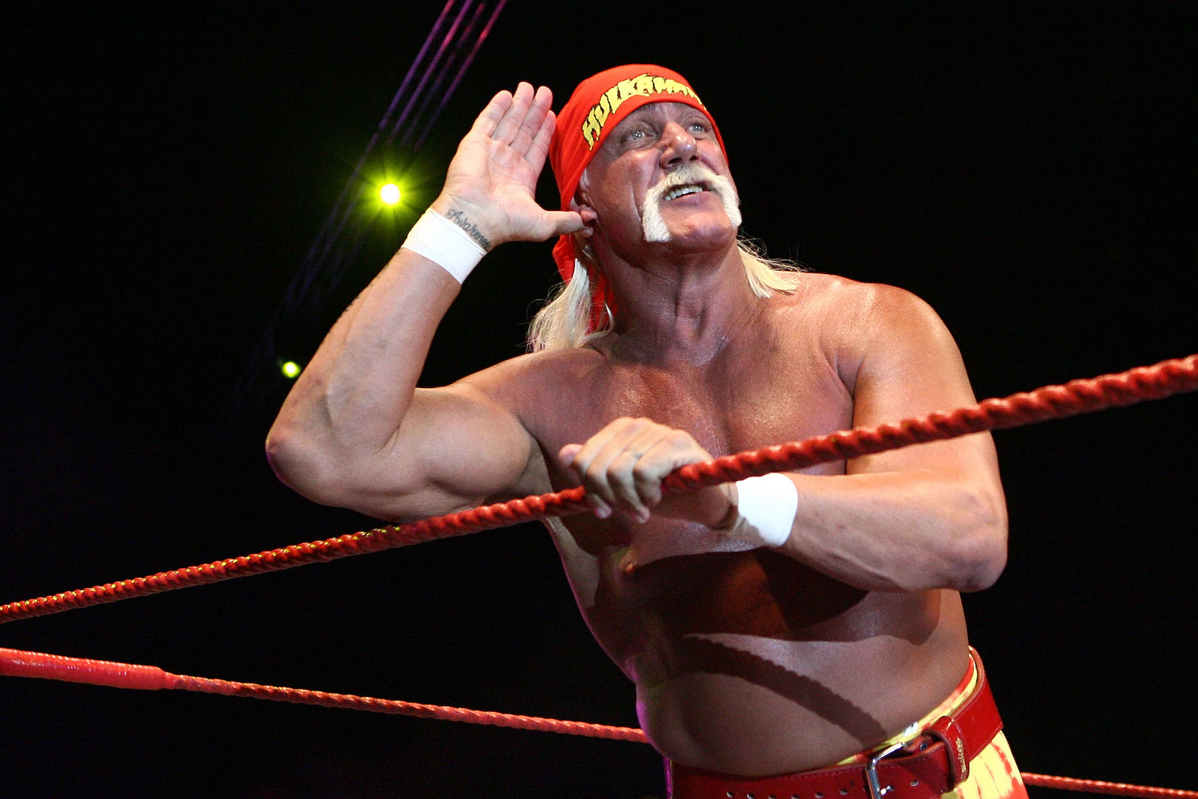 hulk-hogan-pro-wrestling-legacy