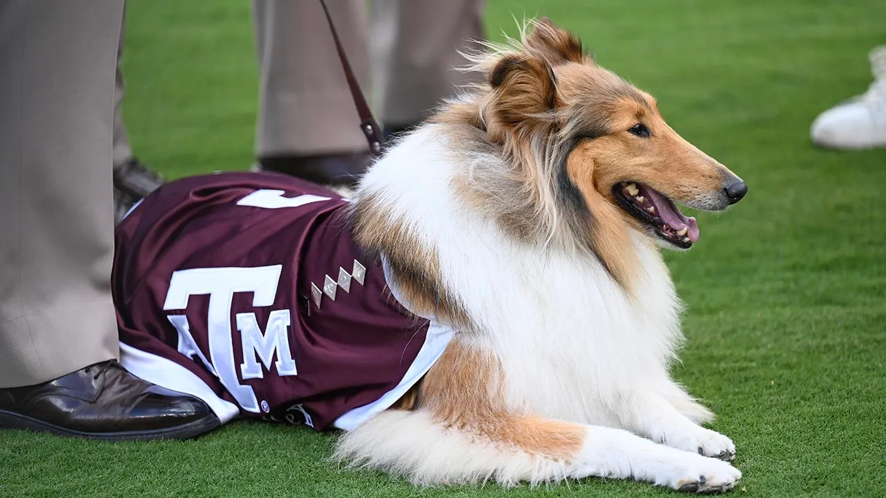 reveille-x-eye-surgery