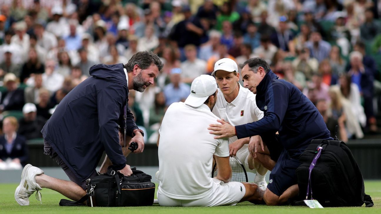 sinner-wimbledon-dimitrov-injury