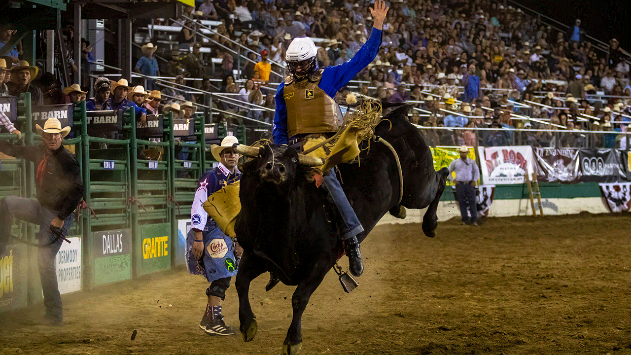 pbr-friday-night-live-fox-nation