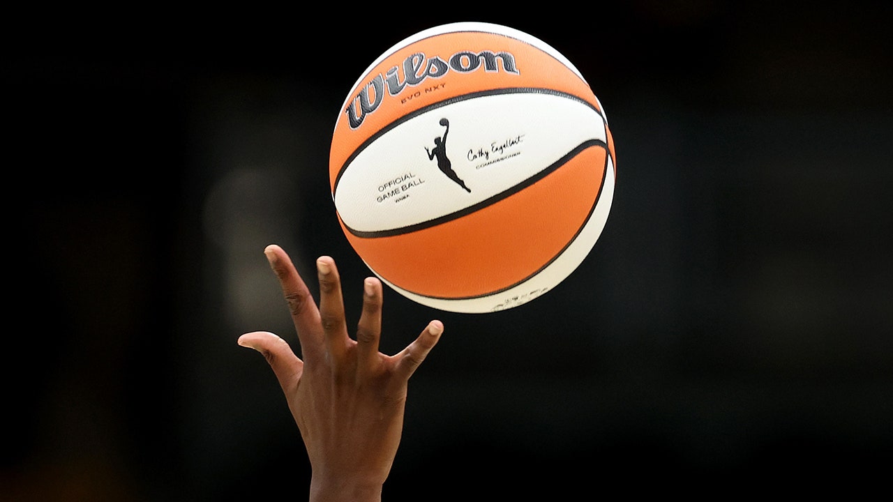 wnba-fan-behavior-legal-action