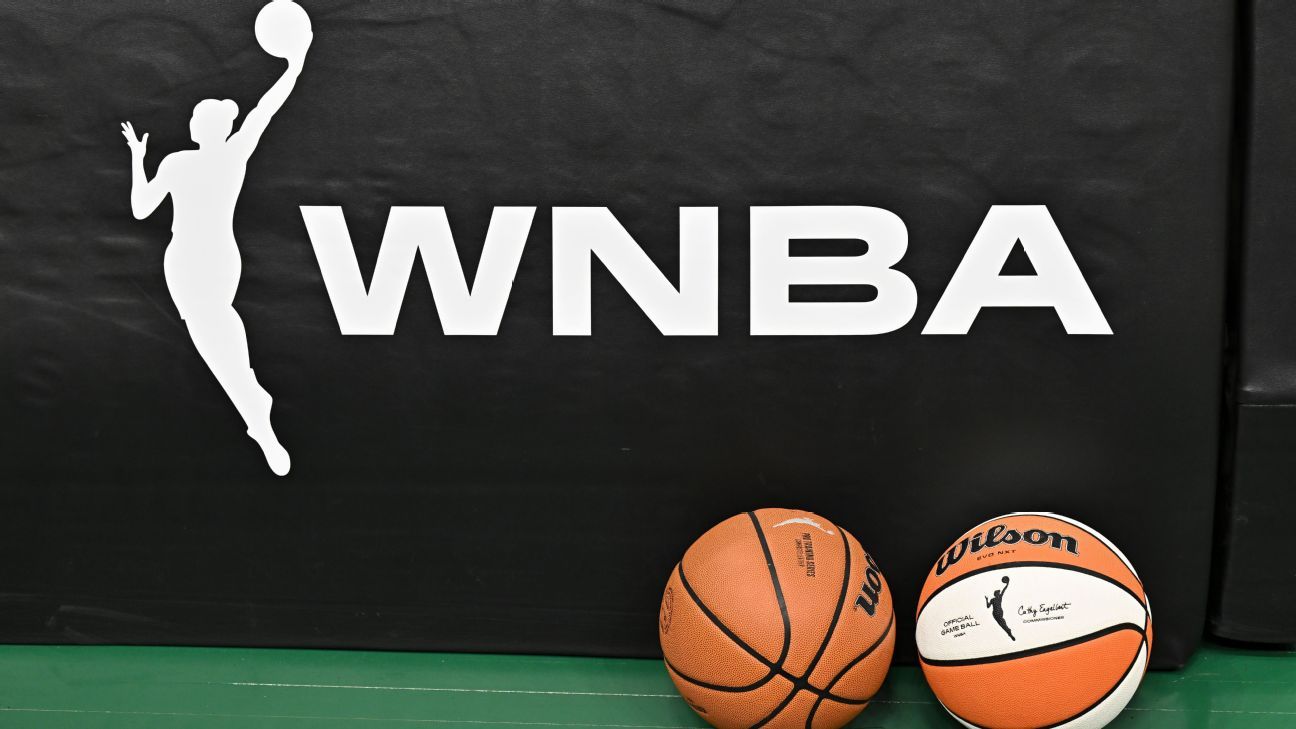 wnba-fan-behavior